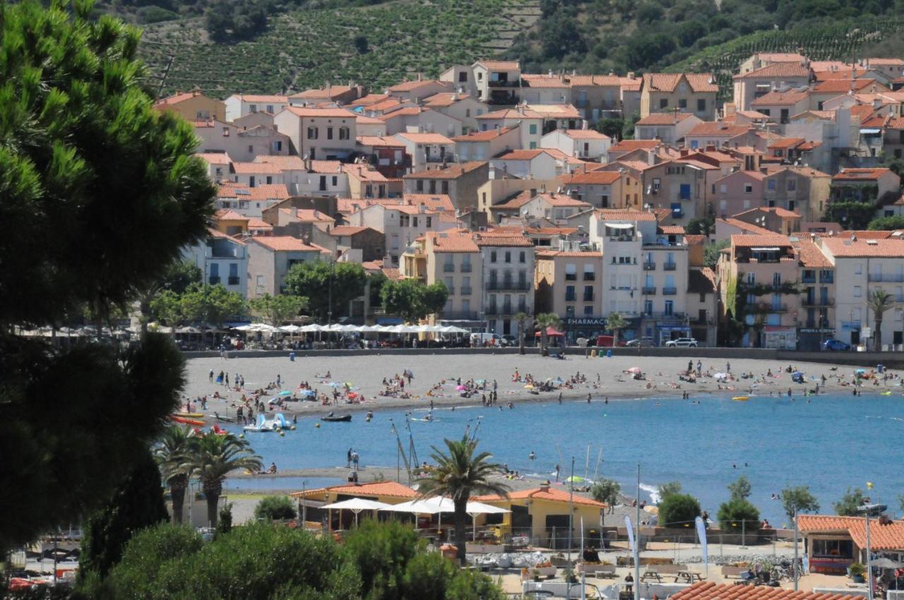 Avec Grande Terrasse Vue Sur * Banyuls-sur-Mer